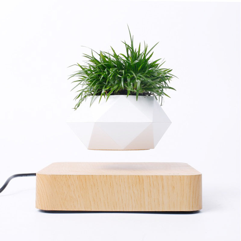 Magnetic Levitating Rotation Flowerpot